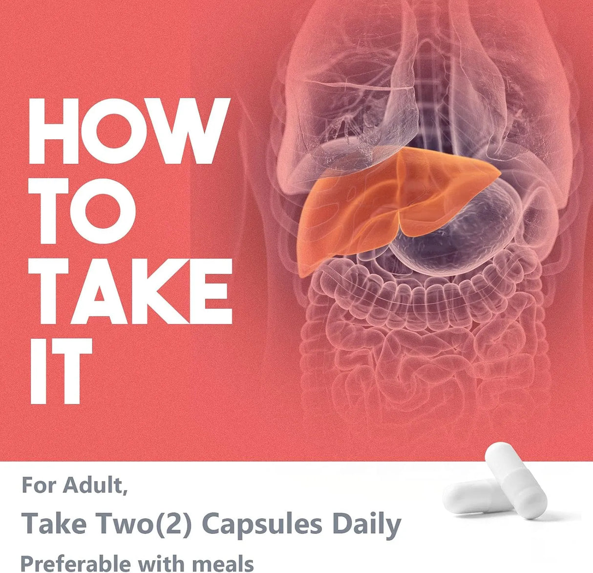 KONEFANCY - KoNefancy TUDCA Liver 1000Mg. 60 Capsulas - The Red Vitamin MX - Suplementos Alimenticios - {{ shop.shopifyCountryName }}