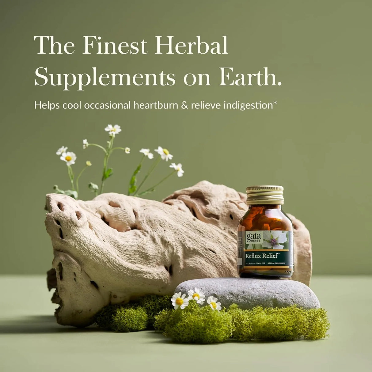 GAIA HERBS - Gaia Herbs Reflux Relief with Marshmallow Root Chamomile Aloe Licorice and High Mallow 45 Tabletas Masticables - The Red Vitamin MX - Suplementos Alimenticios - {{ shop.shopifyCountryName }}