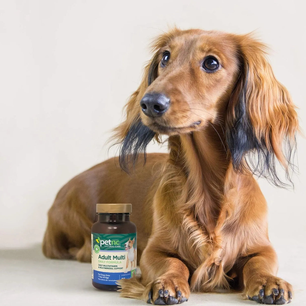 PETNC - PetNC Natural Care Adult Multi Chewables for Dogs 75 Masticables - The Red Vitamin MX - Multivitamínicos Para Perros - {{ shop.shopifyCountryName }}