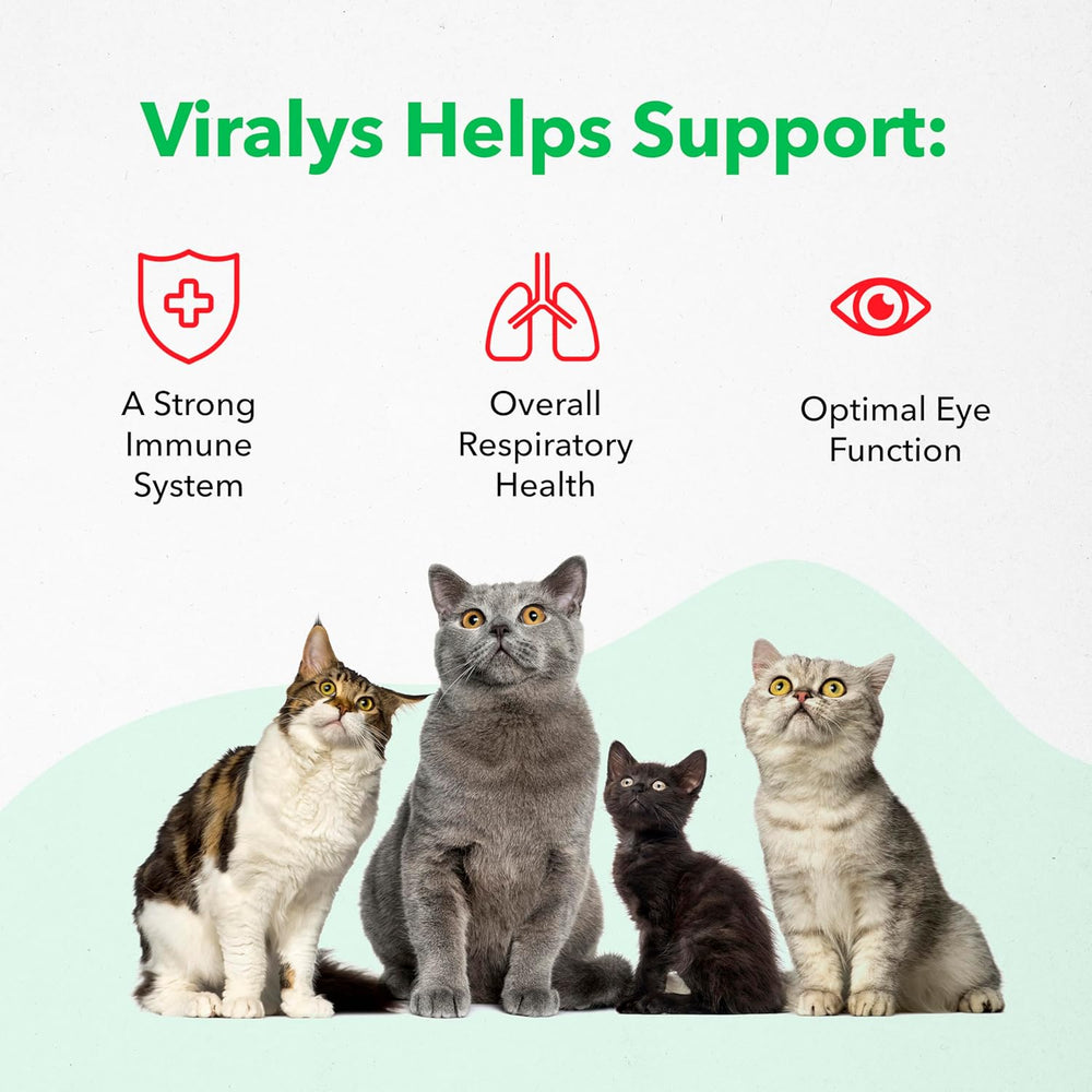 Vetoquinol Viralys Daily L-Lysine Gel for Cats and Kittens 142Gr.