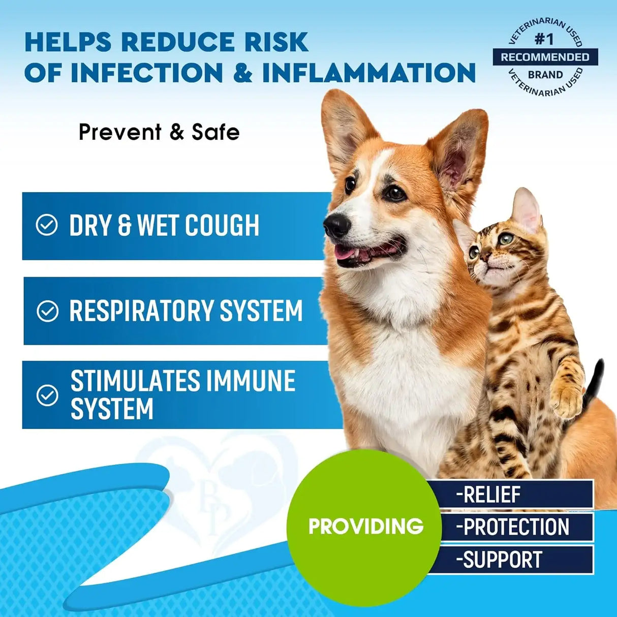 BELOVED PETS - Beloved Pets Kennel Cough Treatment & Natural Infection Medicine for Dogs & Cats 2 Fl.Oz. - The Red Vitamin MX - Medicamentos Sin Receta Para Perros - {{ shop.shopifyCountryName }}