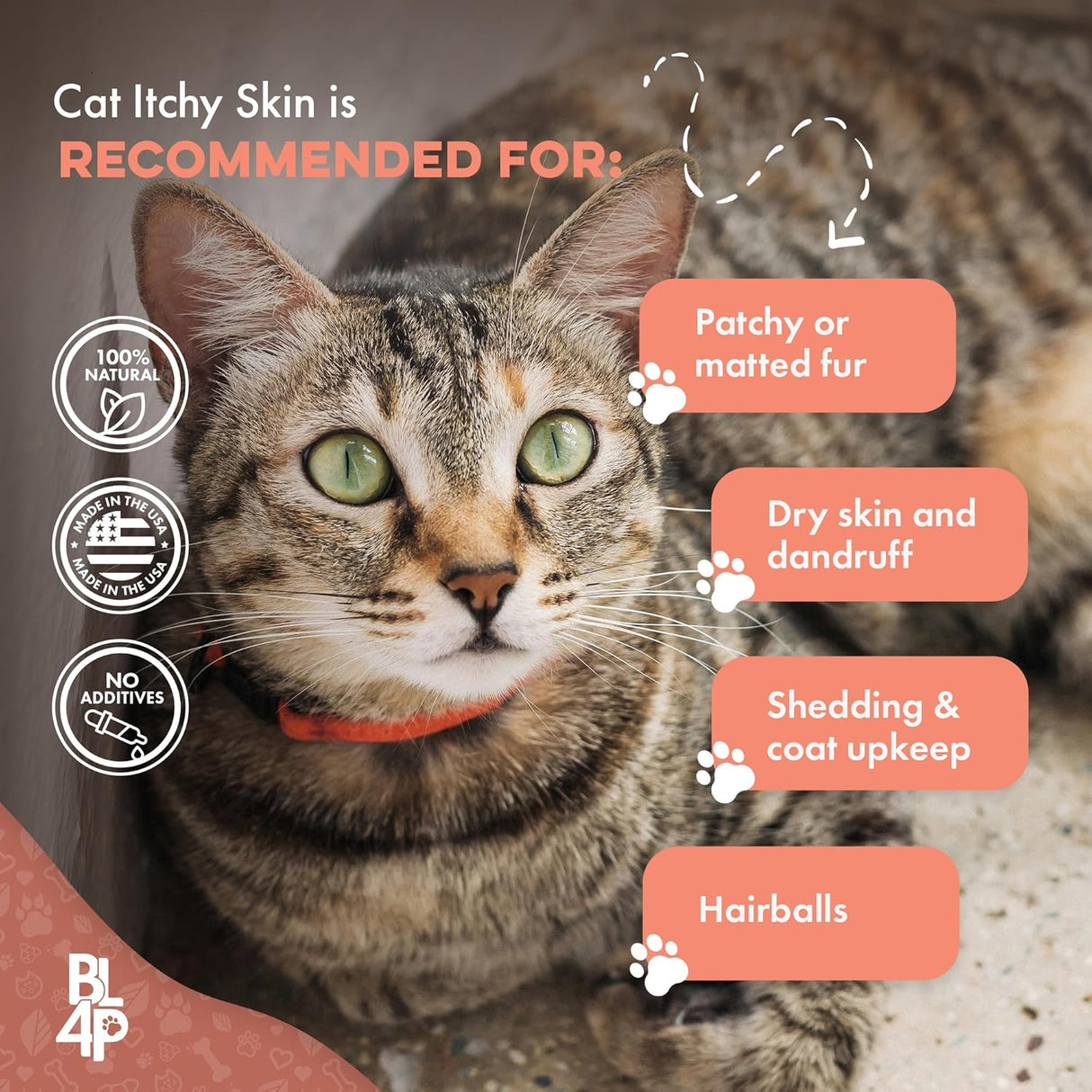 BestLife4Pets Cat Itchy Skin Relief & Hair Loss Treatment 400 Tabletas