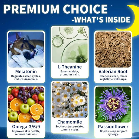 WEALLIN - WEALLIN Melatonin for Dogs with L-Theanine & Chamomile 60Ml. - The Red Vitamin MX - Relajantes Para Perros - {{ shop.shopifyCountryName }}