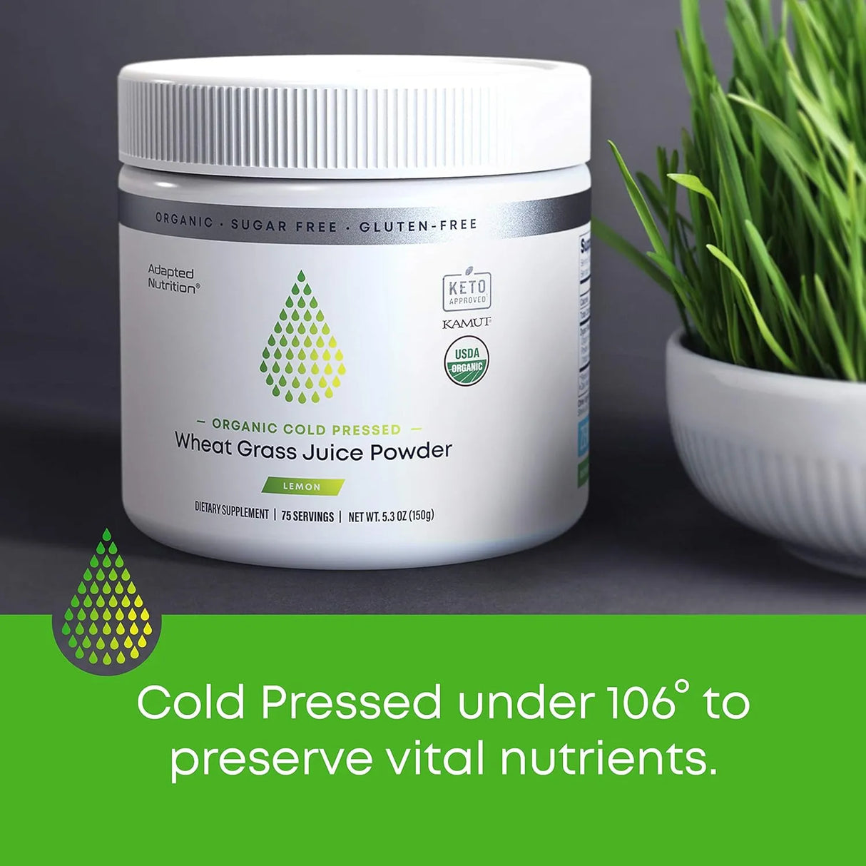 ADAPTED NUTRITION - Adapted Nutrition Organic Wheatgrass Juice Powder with Kamut 75 Servicios 150Gr. - The Red Vitamin MX - Suplementos Alimenticios - {{ shop.shopifyCountryName }}