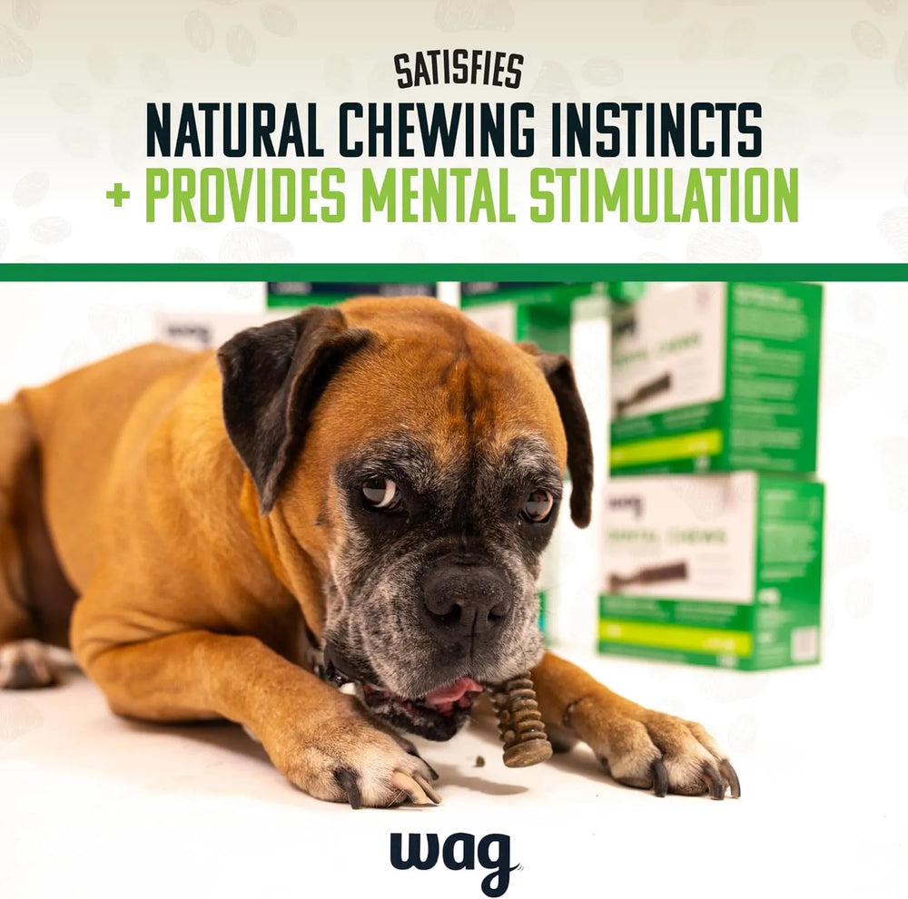 WAG - Wag Dental Chews Green Dental Brush for Dogs Large Unflavored 24 Piezas - The Red Vitamin MX - Cuidado Dental Para Perros - {{ shop.shopifyCountryName }}