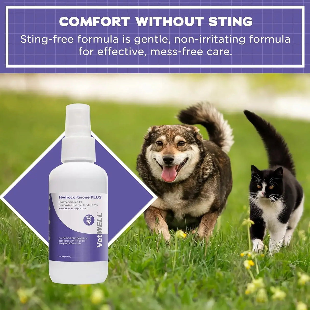 VETWELL - VetWELL Hydrocortisone Spray for Dogs & Cats 4 Fl.Oz. - The Red Vitamin MX - Remedios Para La Picazón De Perros - {{ shop.shopifyCountryName }}