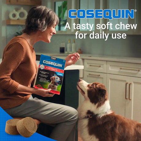 NUTRAMAX - Nutramax Cosequin Senior Joint Health Supplement for Senior Dogs 120 Masticables - The Red Vitamin MX - Cuidado De Cadera Y Articulaciones Para Perros - {{ shop.shopifyCountryName }}