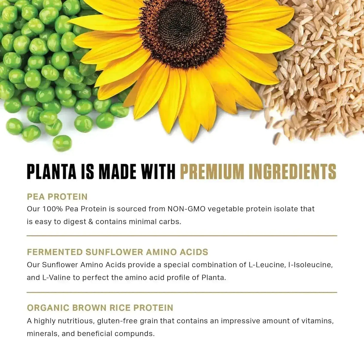 AMBROSIA - Ambrosia Planta Premium Organic Plant-Based Protein 25 Servicios Cookies Cream 937Gr. - The Red Vitamin MX - Suplementos Alimenticios - {{ shop.shopifyCountryName }}