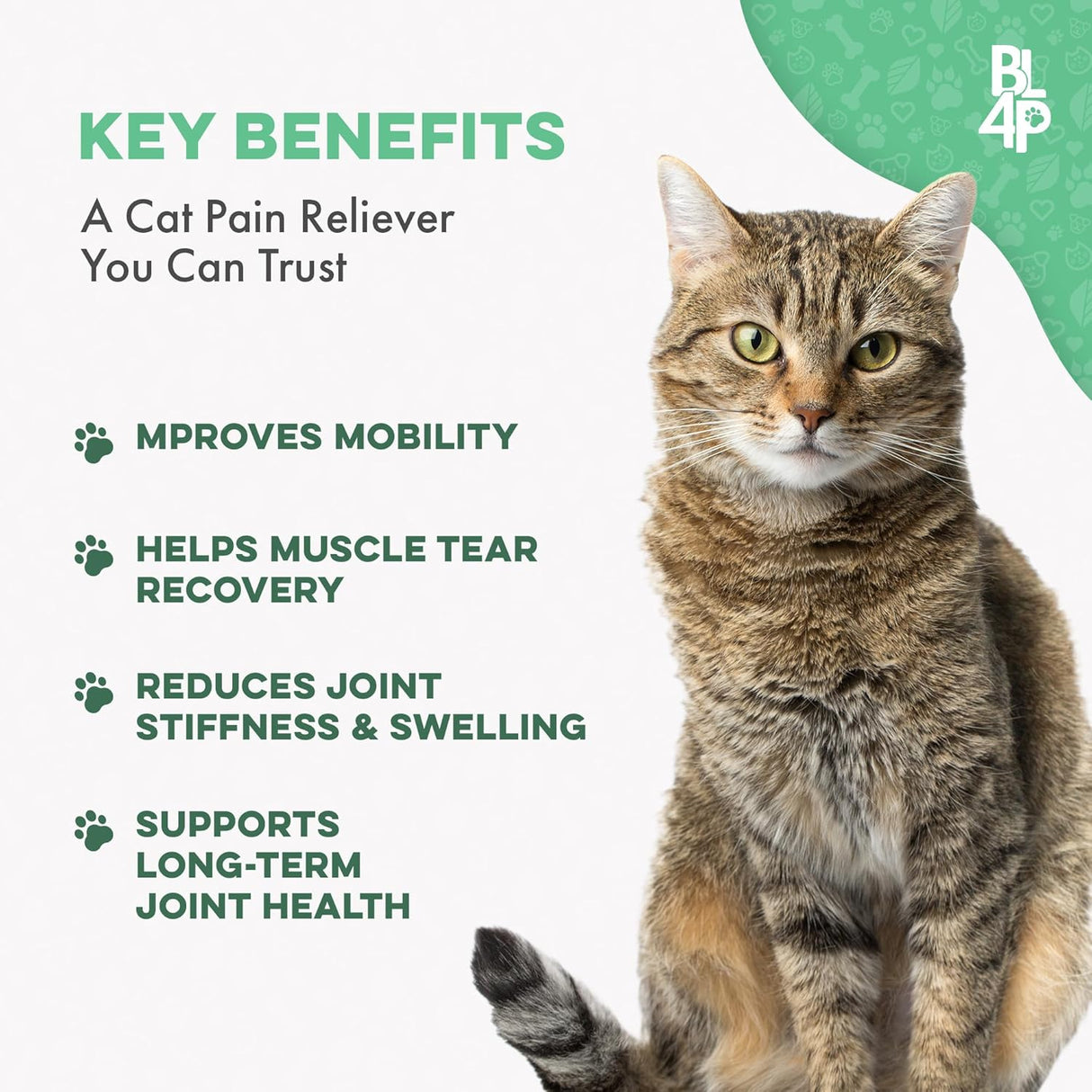 BestLife4Pets Cat Hip and Joint Pain Relief Supplement 400 Tabletas
