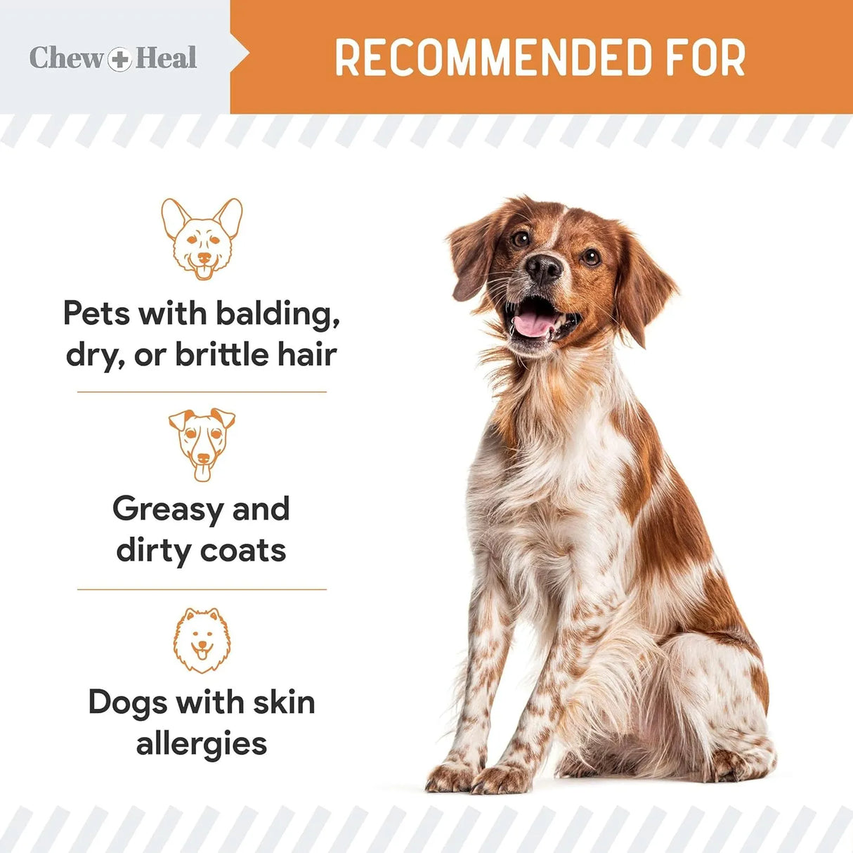CHEW + HEAL - Chew + Heal Labs Wild Caught Omega 3 Fish Oil for Puppy & Small Breed 180 Capsulas Blandas - The Red Vitamin MX - Aceite De Pescado Para Perros - {{ shop.shopifyCountryName }}