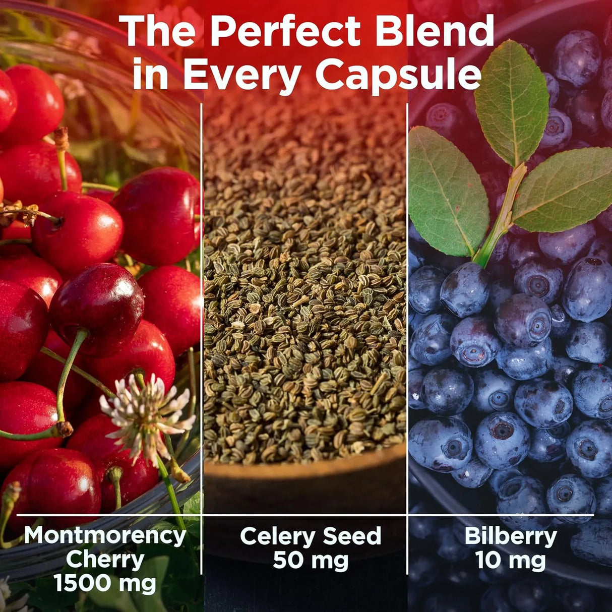 TRUEVANTAGE NUTRITION - Truevantage Nutrition Tart Cherry Extract 90 Capsulas - The Red Vitamin MX - Suplementos Alimenticios - {{ shop.shopifyCountryName }}