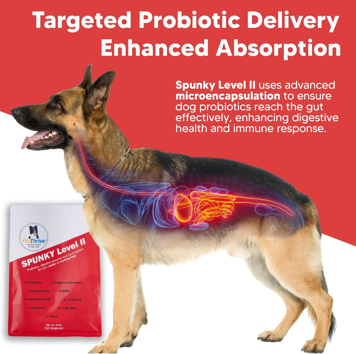 Equerry's Spunky Level II Hip and Joint Supplement for Dogs 453Gr.