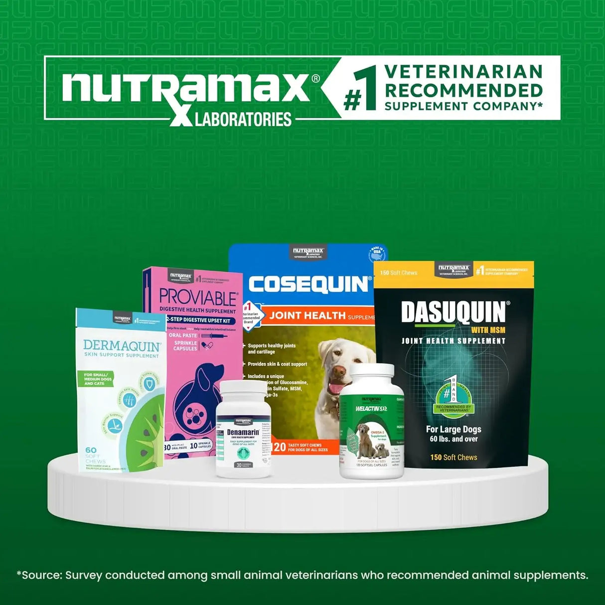 NUTRAMAX - Nutramax Dermaquin Skin Support for Large Dogs 31+ lbs 60 Masticables - The Red Vitamin MX - Remedios Para La Picazón De Perros - {{ shop.shopifyCountryName }}