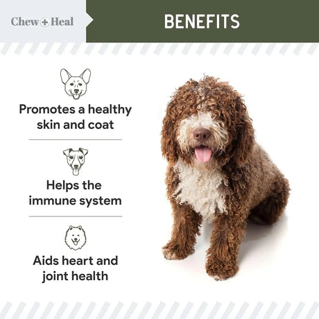 CHEW + HEAL - Chew + Heal Labs Pure Cod Liver Oil for Dogs 16 Fl.Oz. - The Red Vitamin MX - Aceite De Pescado Para Perros - {{ shop.shopifyCountryName }}