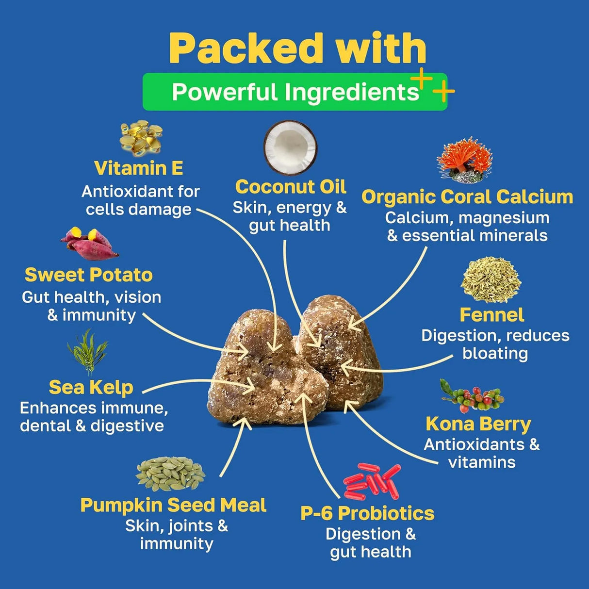 HAPPY PAWS - Happy Paws Probiotic Gut Health Support for Dogs 100 Masticables - The Red Vitamin MX - Probióticos Para Perros - {{ shop.shopifyCountryName }}