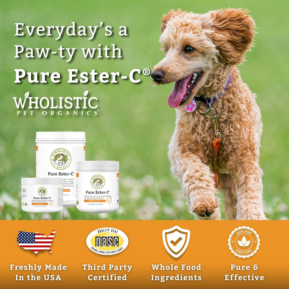 Wholistic Pet Organics Pure Ester-C Powder for Dogs 113Gr.