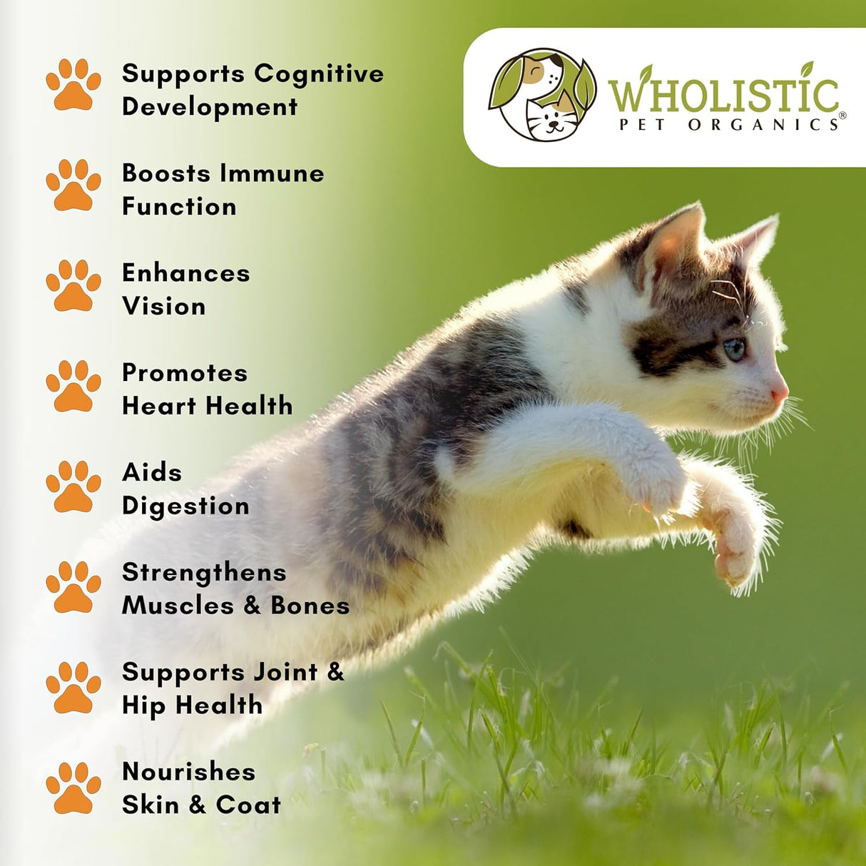 Wholistic Pet Organics Feline Complete Organic Pumpkin 113Gr.