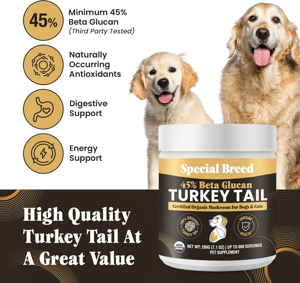 SPECIAL BREED - Special Breed Organic Turkey Tail Mushroom for Dogs 200Gr. - The Red Vitamin MX - Suplementos Herbales Para Perros - {{ shop.shopifyCountryName }}