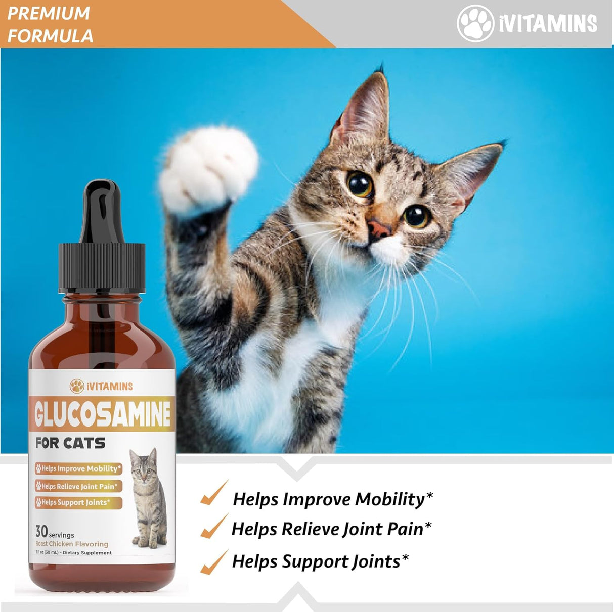 iVitamins Glucosamine for Cats Chicken Flavor 1 Fl.Oz.