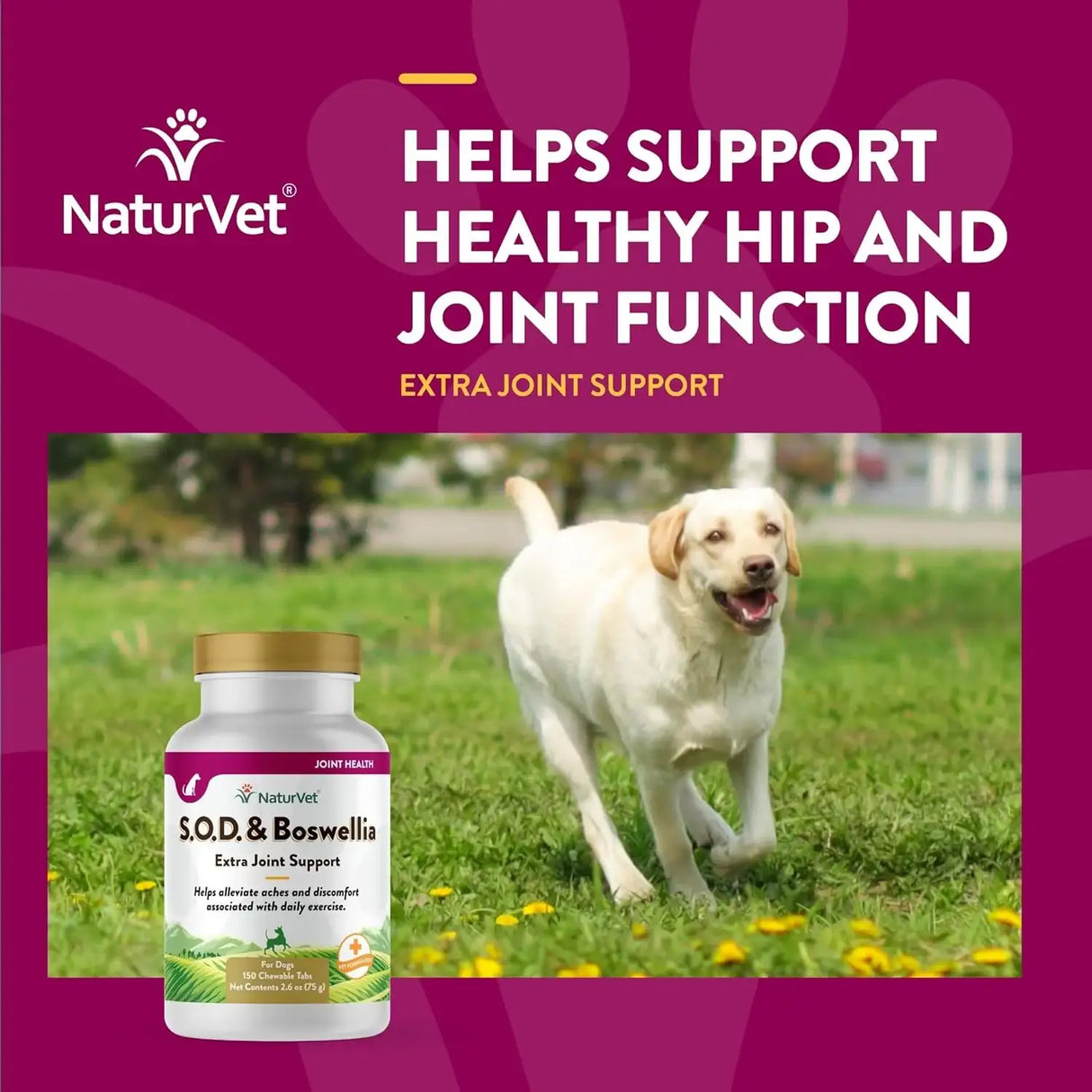NATURVET - NaturVet S.O.D. & Boswellia Extra Joint Support Dog 150 Tabletas Masticables - The Red Vitamin MX - Cuidado De Cadera Y Articulaciones Para Perros - {{ shop.shopifyCountryName }}