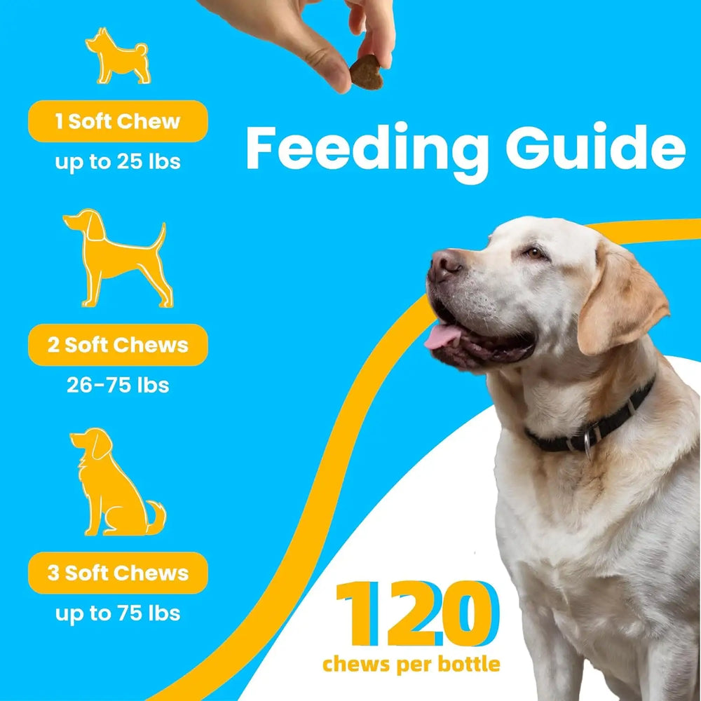 PAWIZON - PAWIZON Advanced Hip and Joint Supplement for Dogs 120 Masticables - The Red Vitamin MX - Cuidado De Cadera Y Articulaciones Para Perros - {{ shop.shopifyCountryName }}