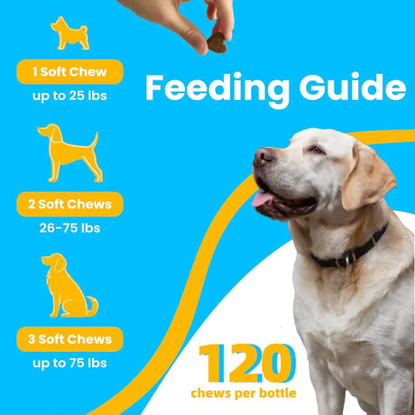 PAWIZON - PAWIZON Advanced Hip and Joint Supplement for Dogs 120 Masticables - The Red Vitamin MX - Cuidado De Cadera Y Articulaciones Para Perros - {{ shop.shopifyCountryName }}