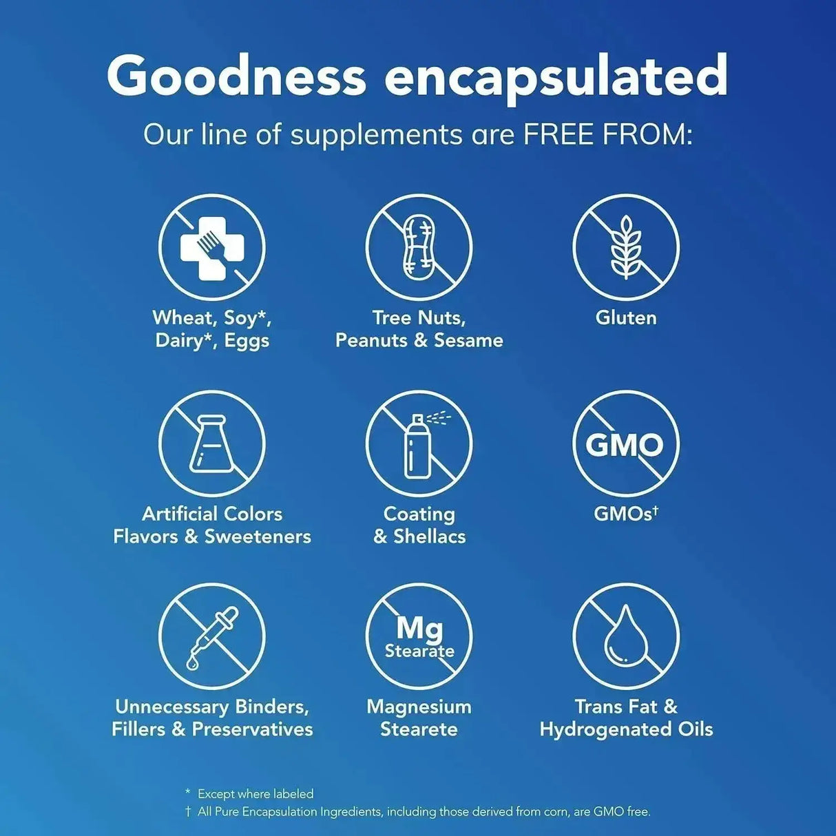 PURE ENCAPSULATIONS - Pure Encapsulations Magnesium Glycinate 180 Capsulas - The Red Vitamin MX - Suplementos Alimenticios - {{ shop.shopifyCountryName }}