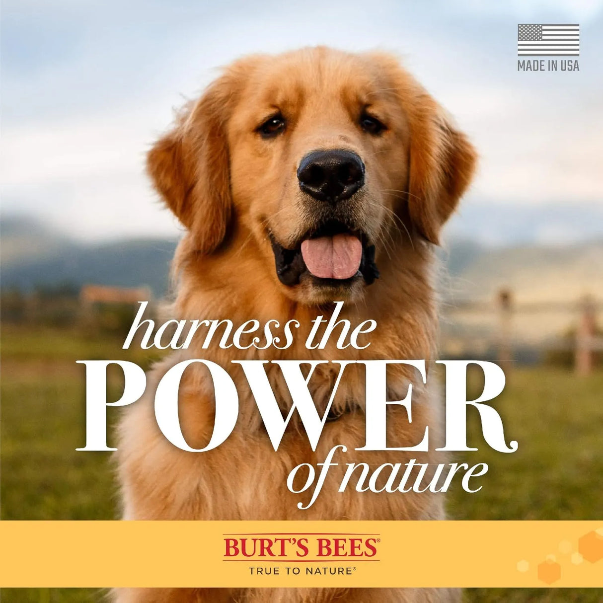 BURT'S BEES - Burt's Bees for Pets Eye Wash with Saline Solution for Dogs 4 Fl.Oz. - The Red Vitamin MX - Cuidado De Los Ojos De Los Perros - {{ shop.shopifyCountryName }}