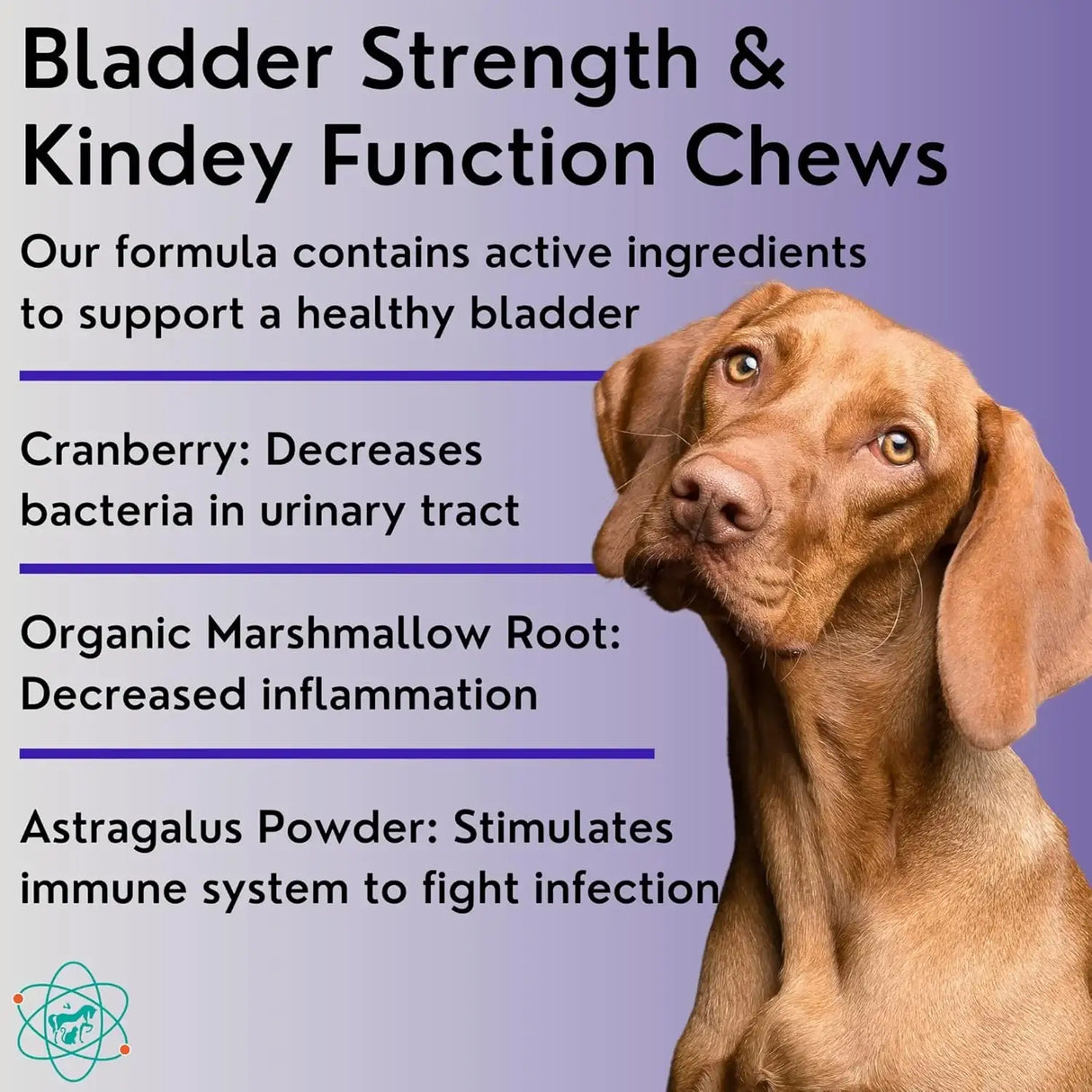 PET CARE SCIENCES - PET CARE Sciences Bladder Strength 55 Masticables - The Red Vitamin MX - Salud De Tracto Urinario Para Perros - {{ shop.shopifyCountryName }}