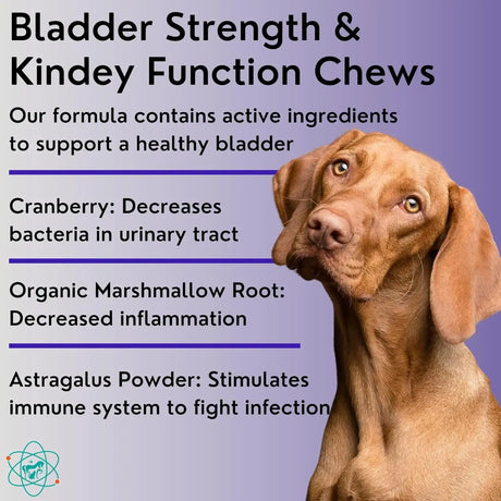 PET CARE SCIENCES - PET CARE Sciences Bladder Strength 55 Masticables - The Red Vitamin MX - Salud De Tracto Urinario Para Perros - {{ shop.shopifyCountryName }}