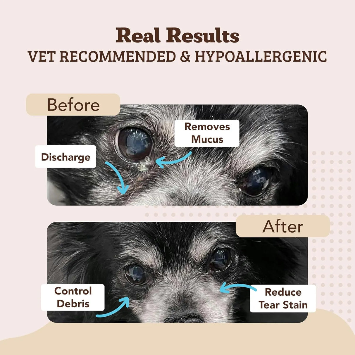 NATURAL DOG - Natural Dog Eye Wipes for Dogs 100 Toallitas - The Red Vitamin MX - Cuidado De Los Ojos De Los Perros - {{ shop.shopifyCountryName }}