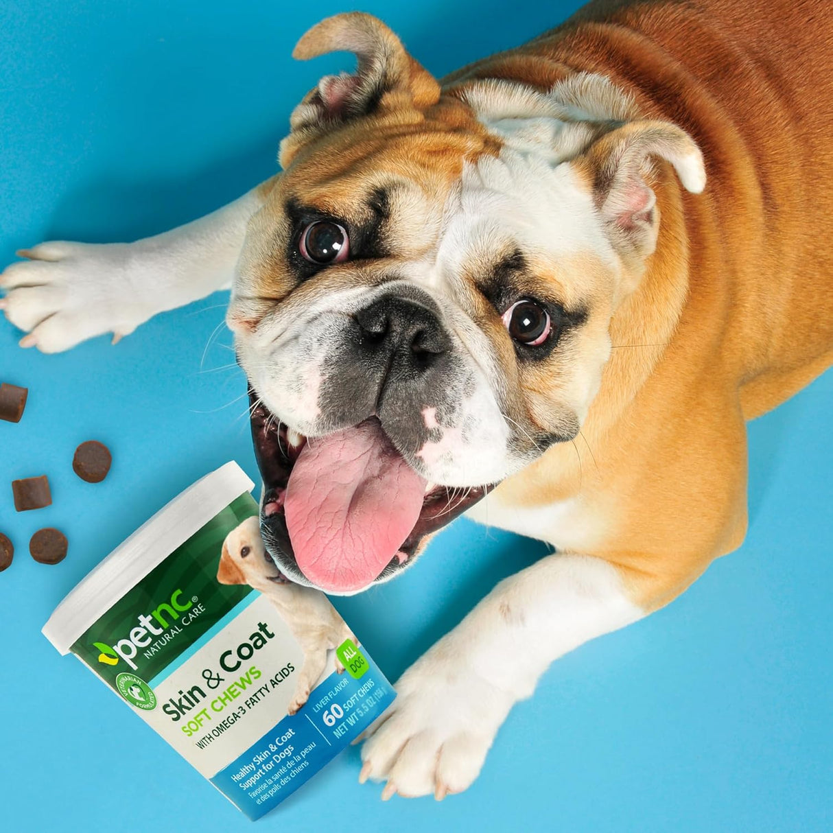 PetNC Natural Care Dog Skin and Coat 60 Masticables