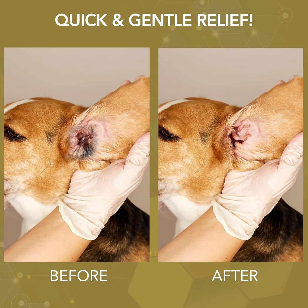 NOVEHA - NOVEHA Dog Ear Therapy 8 Fl.Oz. - The Red Vitamin MX - Cuidado Del Oído De Perros - {{ shop.shopifyCountryName }}