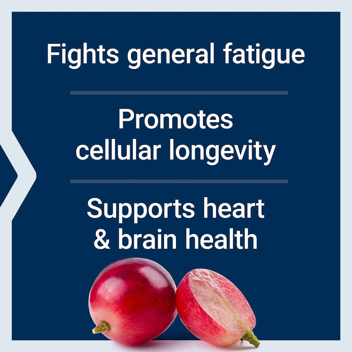 LIFE EXTENSION - Life Extension Melatonin 10Mg. 60 Capsulas - The Red Vitamin MX - Suplementos Alimenticios - {{ shop.shopifyCountryName }}