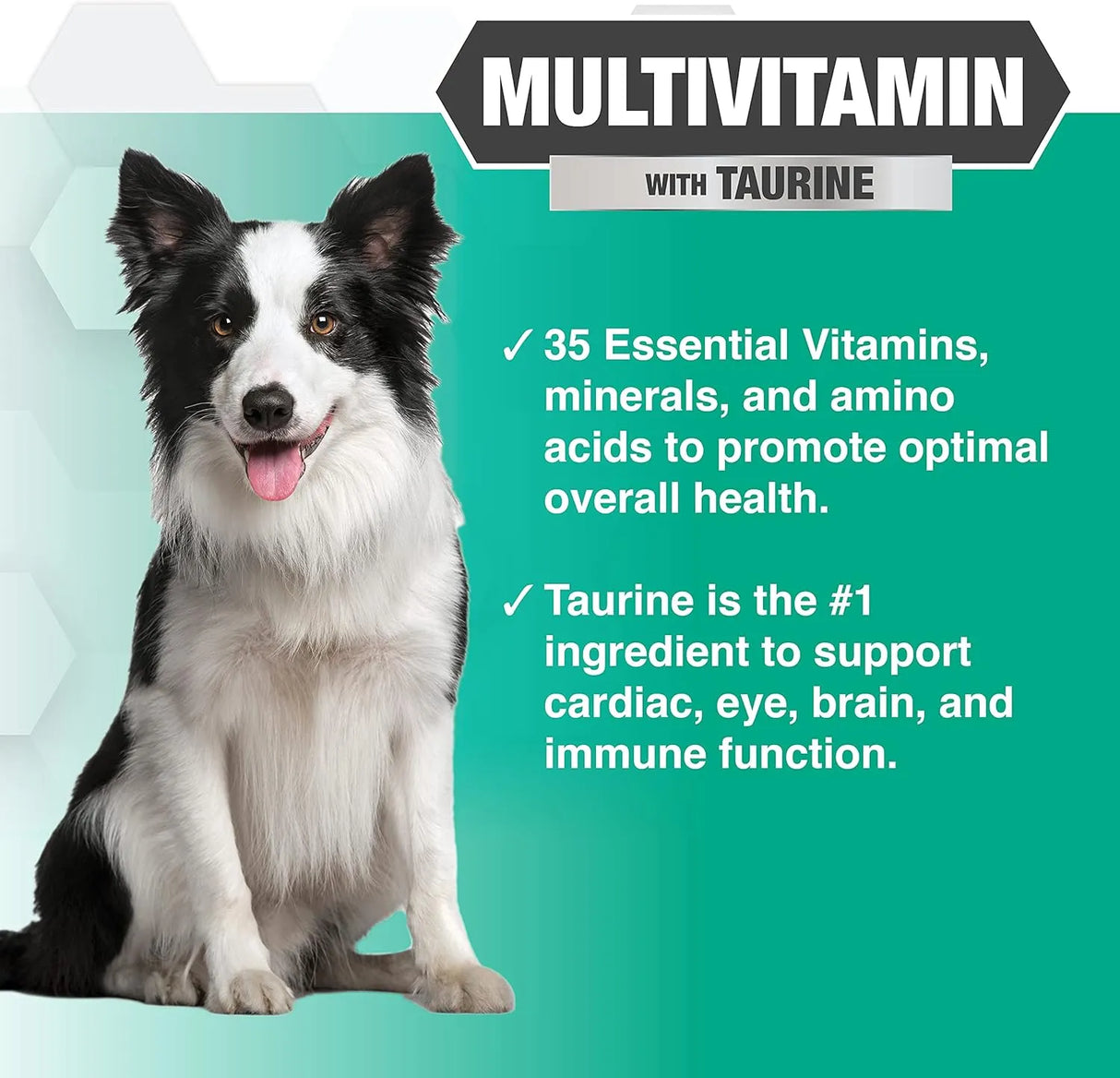 NOOTIE - Nootie Progility Multvitamin for Dogs 90 Masticables - The Red Vitamin MX - Multivitamínicos Para Perros - {{ shop.shopifyCountryName }}