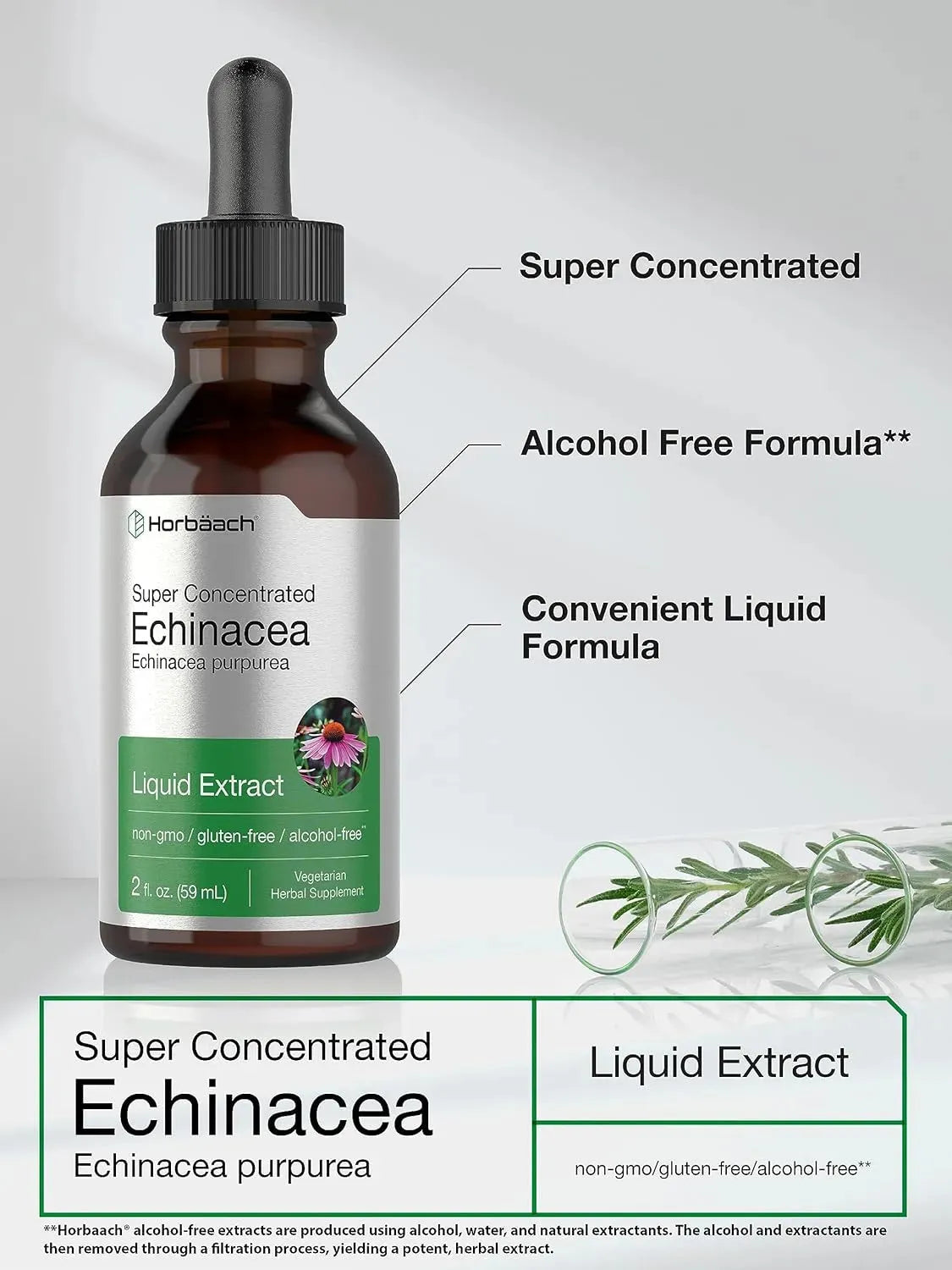 HORBAACH - Horbaach Echinacea Drops Liquid Extract 2 Fl.Oz. - The Red Vitamin MX - Suplementos Alimenticios - {{ shop.shopifyCountryName }}