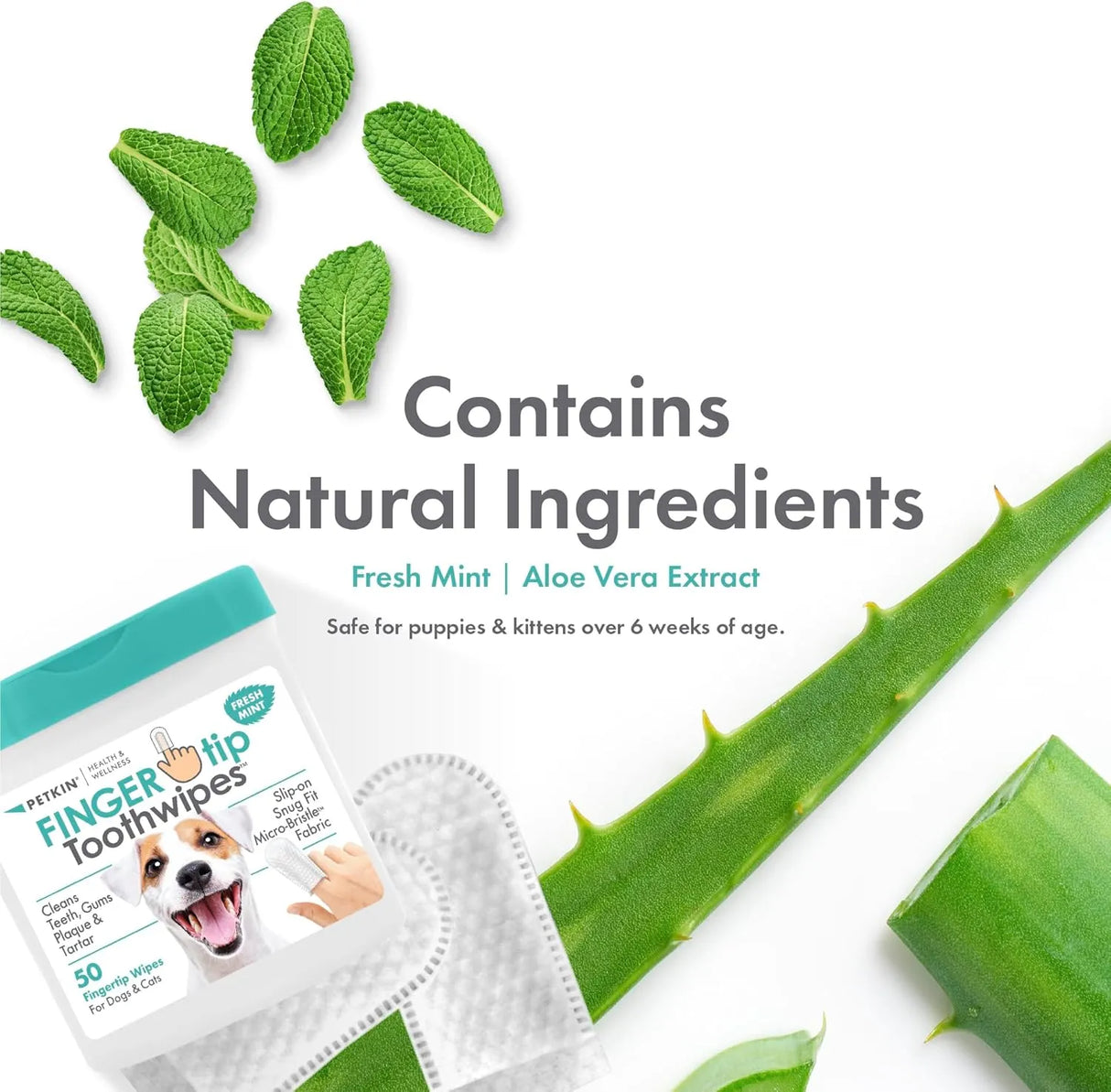 PETKIN - Petkin Fingertip Tooth Wipes for Dogs and Cats Fresh Mint 50 Toallitas - The Red Vitamin MX - Cuidado Dental Para Perros - {{ shop.shopifyCountryName }}