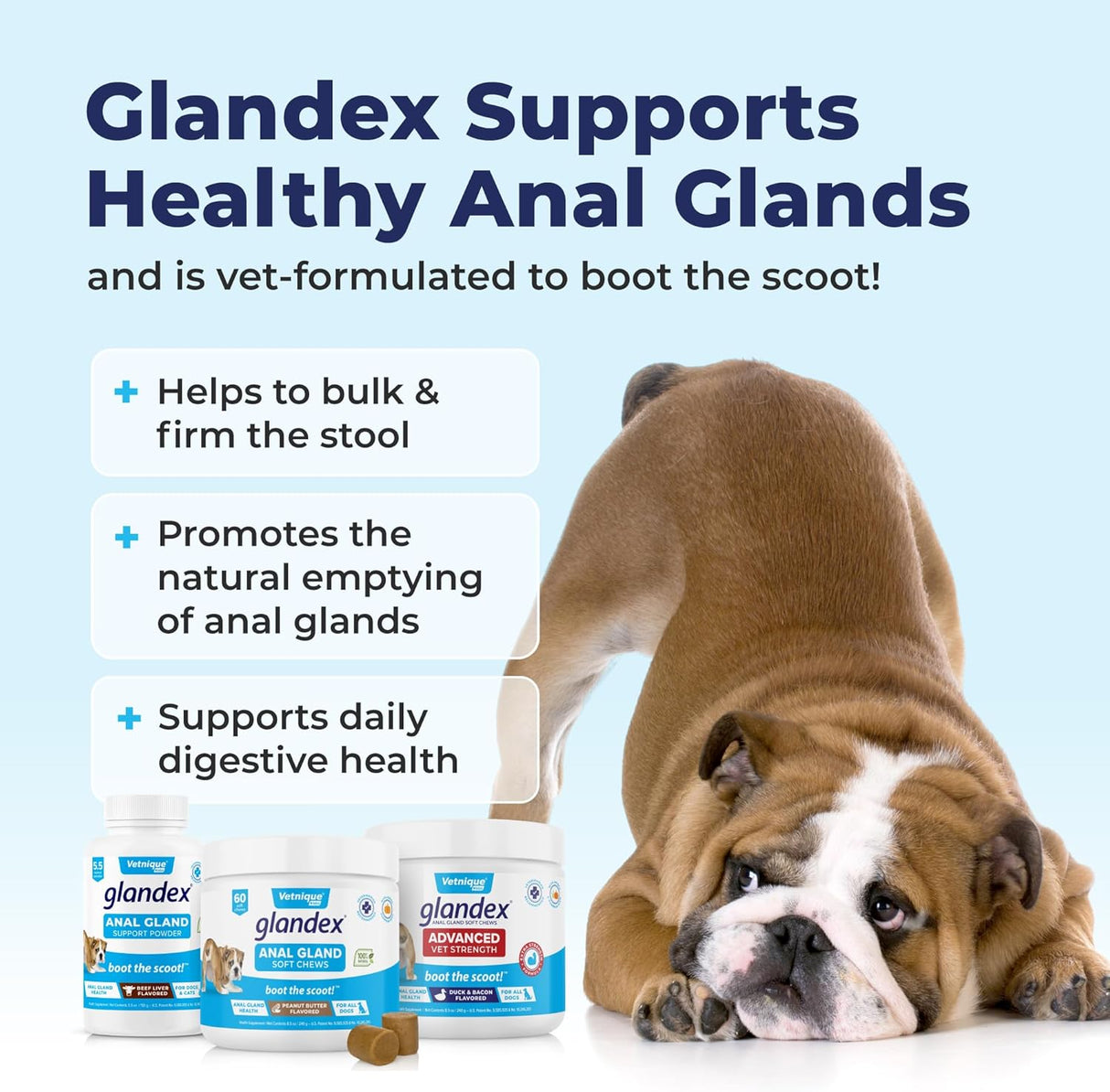 Vetnique Labs Glandex Dog Fiber Supplement Powder Vegan Salmon 114Gr.