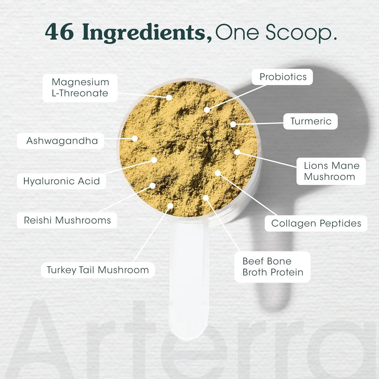 ARTERRA - Arterra Longevity Multivitamin for Adult Dogs 30 Servicios 147Gr. - The Red Vitamin MX - Multivitamínicos Para Perros - {{ shop.shopifyCountryName }}