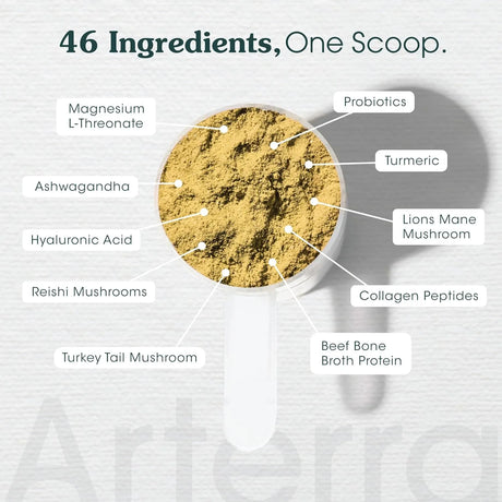 ARTERRA - Arterra Longevity Multivitamin for Adult Dogs 30 Servicios 147Gr. - The Red Vitamin MX - Multivitamínicos Para Perros - {{ shop.shopifyCountryName }}