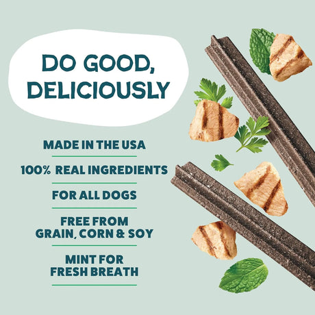 SHAMELESS PETS - Shameless Pets Dental Treats for Dogs A Cluck A Day 8 Piezas - The Red Vitamin MX - Cuidado Dental Para Perros - {{ shop.shopifyCountryName }}