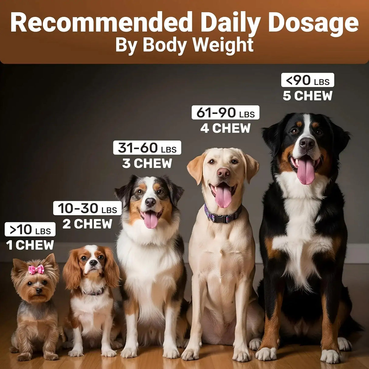 WUFFWELL - WuffWell 12:1 Mushroom Supplement for Dogs 140 Masticables - The Red Vitamin MX - Suplementos Herbales Para Perros - {{ shop.shopifyCountryName }}