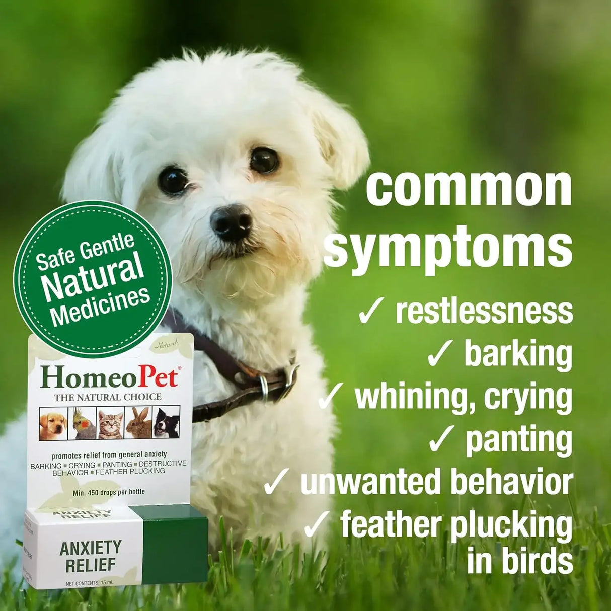 HOMEOPET - HomeoPet Anxiety Relief Medicine for Pets 15Ml. - The Red Vitamin MX - Relajantes Para Perros - {{ shop.shopifyCountryName }}