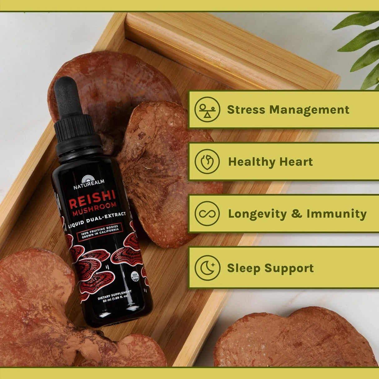 NATUREALM - Naturealm Reishi Mushroom Liquid 50Ml. - The Red Vitamin MX - Suplementos Alimenticios - {{ shop.shopifyCountryName }}