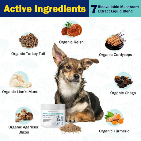 UNIPOMME - Unipomme Dogs Guard Defense Immune 120Gr. - The Red Vitamin MX - Suplementos Herbales Para Perros - {{ shop.shopifyCountryName }}