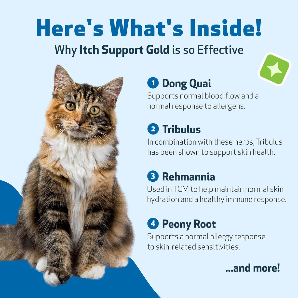 Pet Wellbeing Itch Support Gold for Cats 4 Fl.Oz.