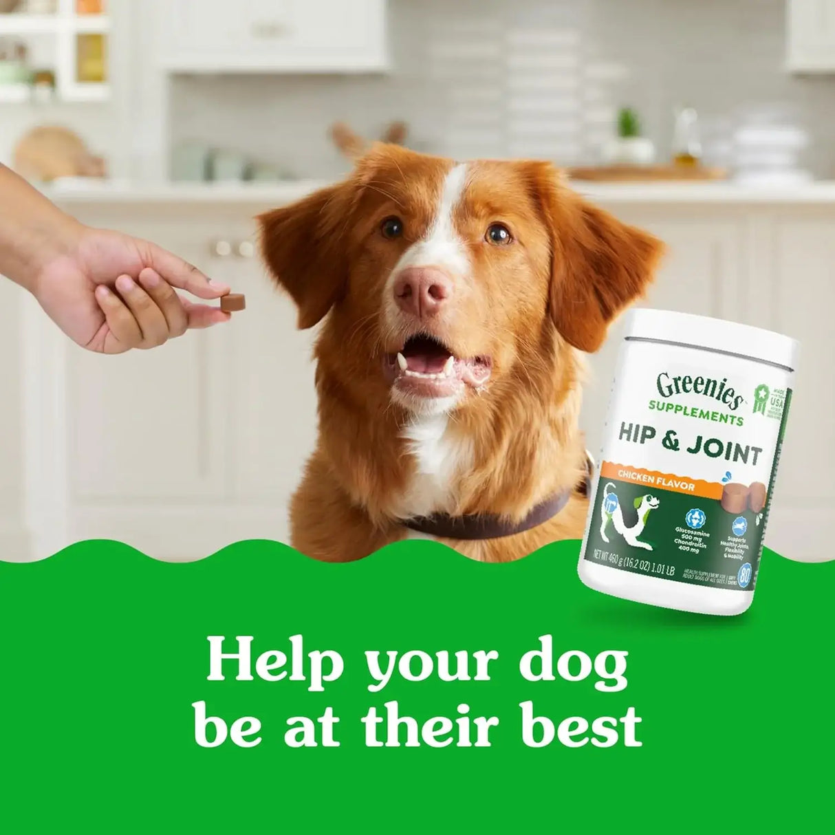 GREENIES - Greenies Supplements Hip and Joint Supplements for Dogs Chicken Flavor 80 Masticables - The Red Vitamin MX - Cuidado De Cadera Y Articulaciones Para Perros - {{ shop.shopifyCountryName }}