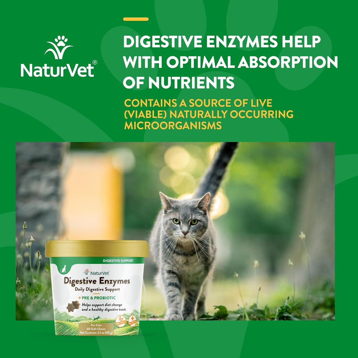 NaturVet Digestive Enzymes for Cats Plus Probiotics 60 Masticables