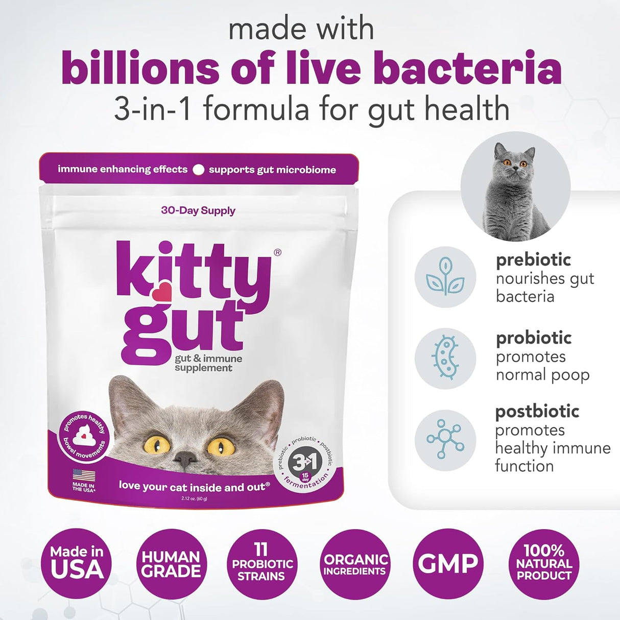 MUTTGUT KittyGut 3-in-1 Organic Cat Probiotics & Postbiotic Supplement Powder 60Gr.