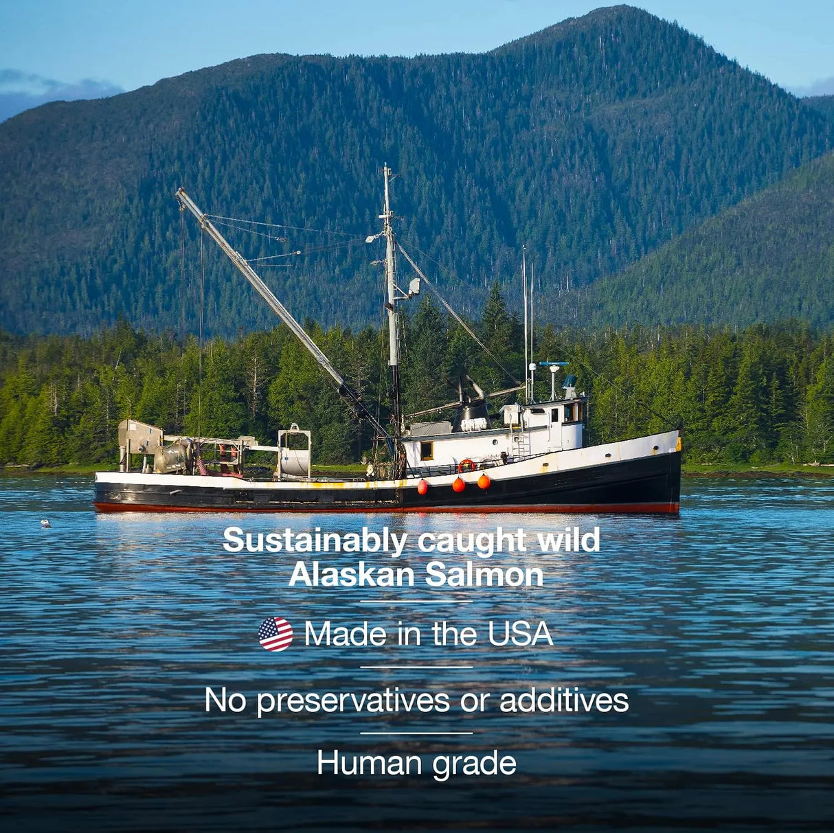 SAVVYBEAST - SavvyBeast Wild Alaskan Salmon Oil for Dogs 16 Fl.Oz. - The Red Vitamin MX - Aceite De Pescado Para Perros - {{ shop.shopifyCountryName }}